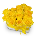 Květinový box růží